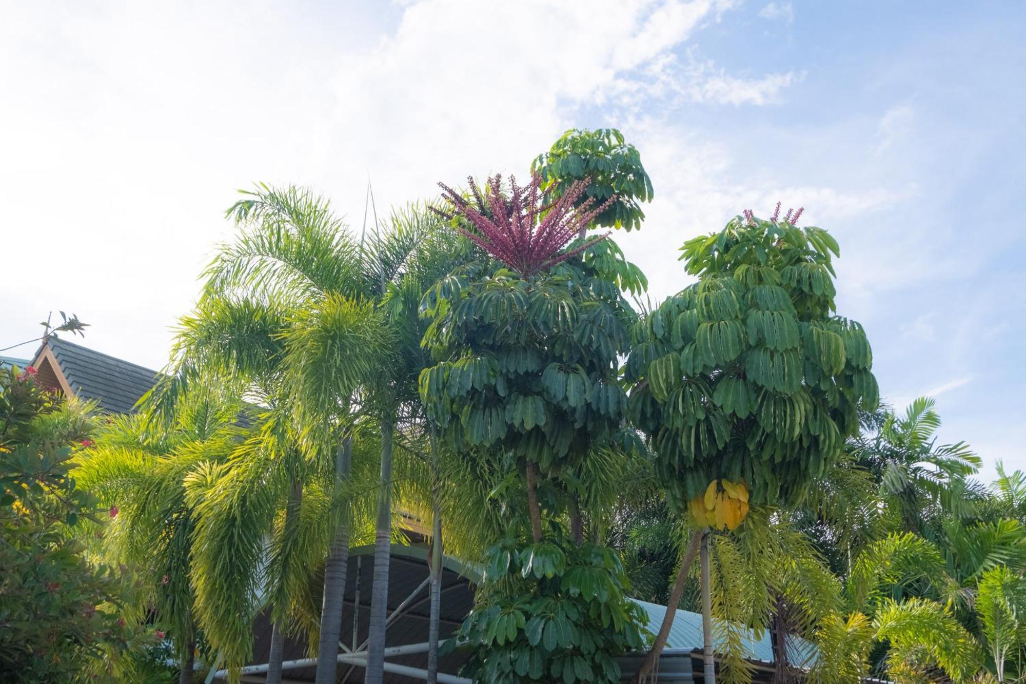 Blue Beach Grand Resort And Spa In Chalong Phuket By Dayuu Ban Saiyuan Buitenkant foto